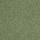 DesignTek Carpet: Dalton 40 15' Going Green